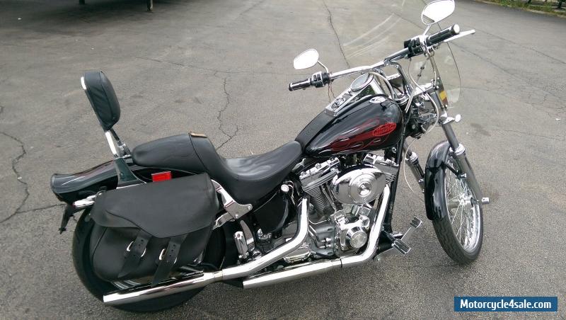 used harley softail for sale