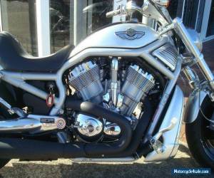 Motorcycle 2003 Harley-Davidson Vrsca V-ROD 1130CC Cruiser for Sale