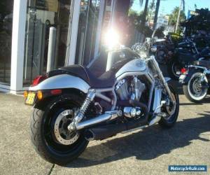 Motorcycle 2003 Harley-Davidson Vrsca V-ROD 1130CC Cruiser for Sale