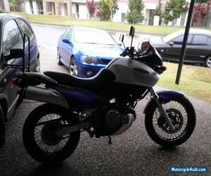 Motorcycle Suzuki xf 650 freewind Lams approved for Sale