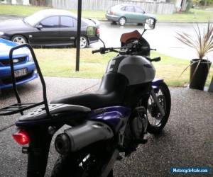 Motorcycle Suzuki xf 650 freewind Lams approved for Sale