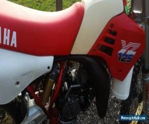 Motorcycle 1986 Yamaha YZ125  California import just in  super evo twinshock mugen LOP FOX  for Sale