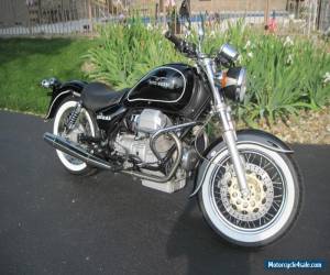 Motorcycle 2000 Moto Guzzi V11 for Sale