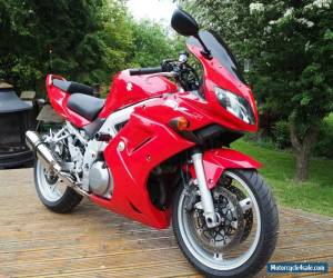 Motorcycle 2005 SUZUKI SV 1000 SK4,stunner,21k pipewerks pipe,find cleaner,free delivery px for Sale