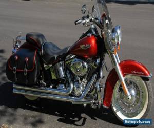 Motorcycle 2008 Harley-Davidson Softail for Sale