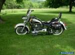 1993 Harley-Davidson Softail for Sale