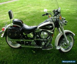 Motorcycle 1993 Harley-Davidson Softail for Sale