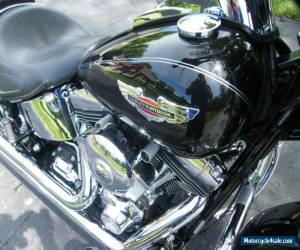 Motorcycle 2010 Harley-Davidson Softail for Sale