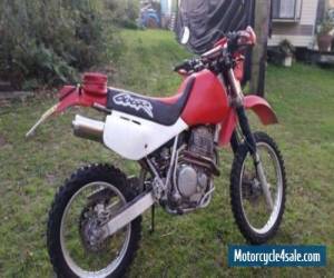 Motorcycle Honda XR600 1999 for Sale