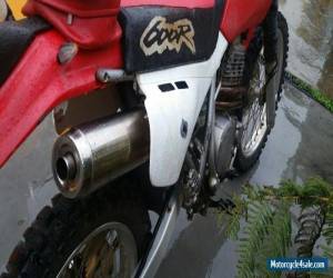 Motorcycle Honda XR600 1999 for Sale