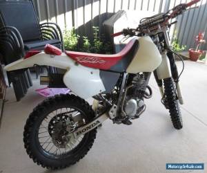 Motorcycle Honda XR 250R Trail Bike for Sale