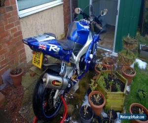 Motorcycle 1998 YAMAHA YZF-R1 BLUE for Sale