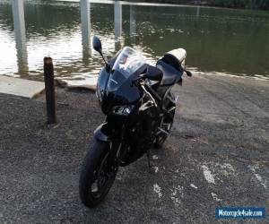 Motorcycle CBR600RR Honda 2007 for Sale