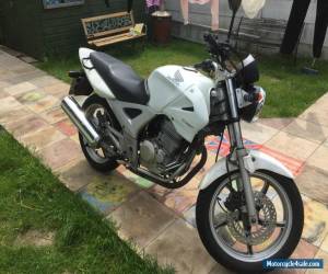 Motorcycle 2004 HONDA CBF250 250cc Commuter Motorcycles with MOT - Requires some attention for Sale