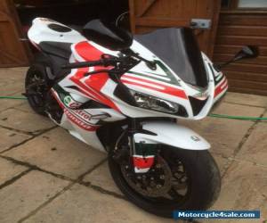 Motorcycle 2008 HONDA CBR 600 RR-8 WHITE for Sale