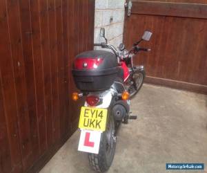 Motorcycle SUZUKI VAN VAN 125CC 2014 LIGHT DAMAGE CAT D  for Sale