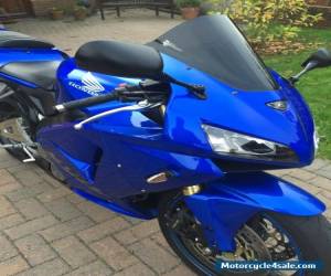 Motorcycle 2006 HONDA CBR 600 RR-5 BLUE for Sale