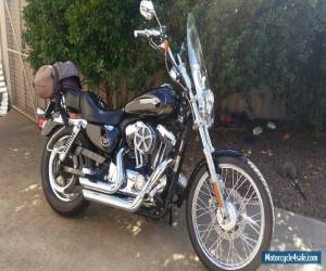 Harley Davidson 2010 XL1200C Sporty Custom, Immaculate Condition  for Sale