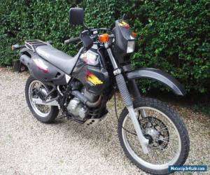 Motorcycle SUZUKI DR650 TRAIL BIKE for Sale