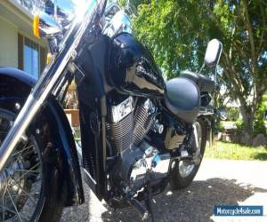 Motorcycle Honda 750 shadow 2011 for Sale