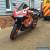 HONDA CBR600RR REPSOL for Sale