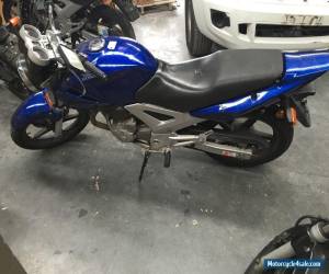 Motorcycle Honda Cbf250 for Sale