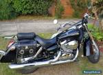 VT750C Honda Shadow Classic for Sale