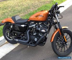 Motorcycle Harley Davidson iron 883 for Sale