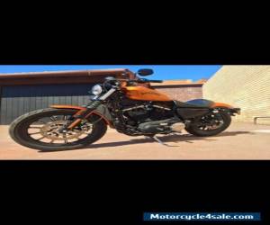 Motorcycle Harley Davidson iron 883 for Sale