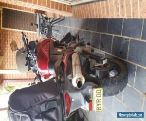 Motorcycle suzuki dl650 v-strom 2006 for Sale