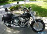 2004 Harley-Davidson Softail for Sale