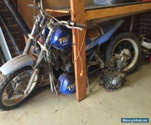 Motorcycle Yamaha TW-200 for Sale