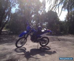 Motorcycle Yamaha TTR250 for Sale