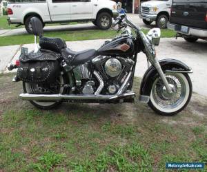 1998 Harley-Davidson Softail for Sale