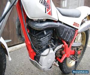 Motorcycle 1986 YAMAHA TY 250 mono air cooled, standard bike, excellent order road reg for Sale