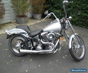 1992 Harley-Davidson Softail for Sale