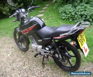 Motorcycle Yamaha YBR125 year 2013 in Black  for Sale