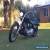 Harley Davidson 2004 Softail Standard for Sale