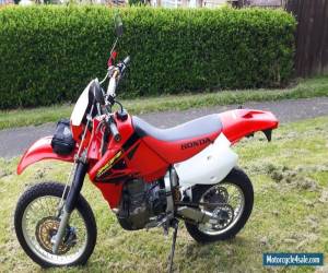 Motorcycle 2003 HONDA XR 650 R3 RED for Sale