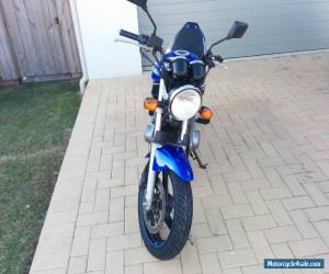 Motorcycle 2007 Suzuki GS500 Motorbike - Blue/White - LAMS Approved for Sale