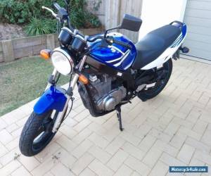 Motorcycle 2007 Suzuki GS500 Motorbike - Blue/White - LAMS Approved for Sale