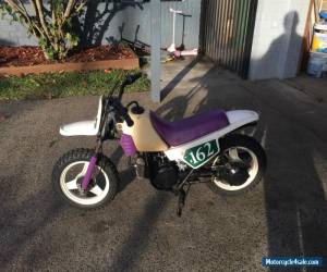 Motorcycle YAMAHA PEEWEE 50 GREAT CONDITION RUNS WELL KIDS OUT GROWN BIKE for Sale