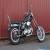 Harley Davidson Ironhead Sportster 1975 for Sale