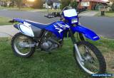 2008 TTR230 TTR-230 YAMAHA ROAD TRAIL 6 MONTHS REGO for Sale