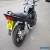 Suzuki Bandit GSF 650 N K5 2005  Black ,very clean example for Sale