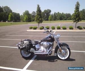Motorcycle 2006 Harley-Davidson Softail for Sale