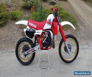 Motorcycle 1985 Yamaha YZ for Sale