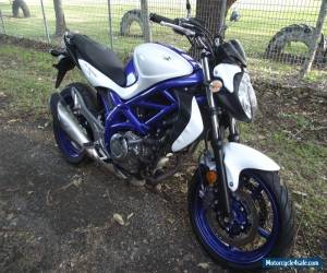 Motorcycle Suzuki Gladius. LAMS. Won at Auction (Cheap Sale)  SFV 650cc. 2011 for Sale