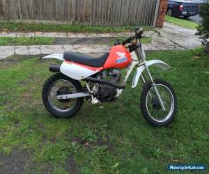 Motorcycle Honda XR80 Pro-Link for Sale