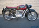 1956 MV Agusta for Sale